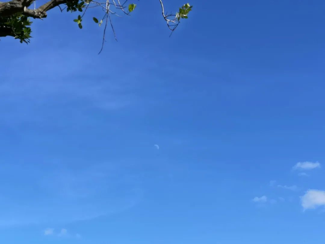 美国没那么糟，那是自媒体向中国人贩卖焦虑，呵呵