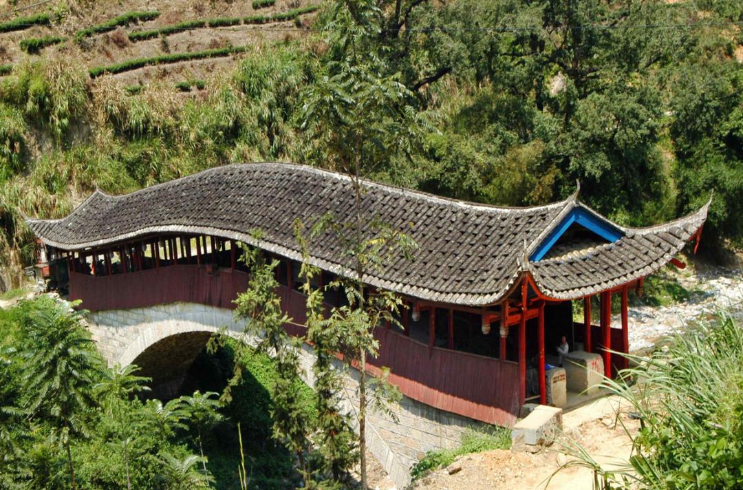 百茶百味|获巴拿马博览会金奖的坦洋工夫，道不尽百年岁月的阵阵茶香