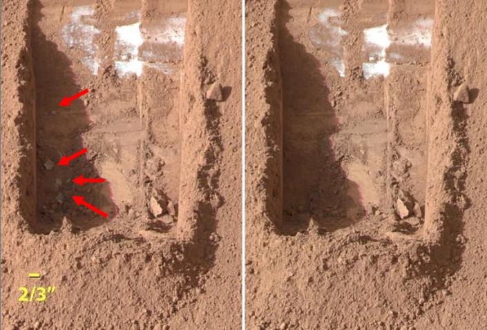 天问少年逐梦未来,天问逐梦进博会