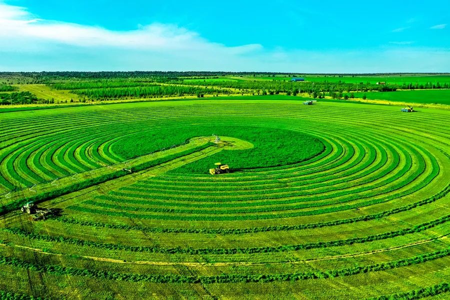 鍙や粖杈夋槧瀹屾暣瑙嗛,鍙や粖浜ょ浉杈夋槧