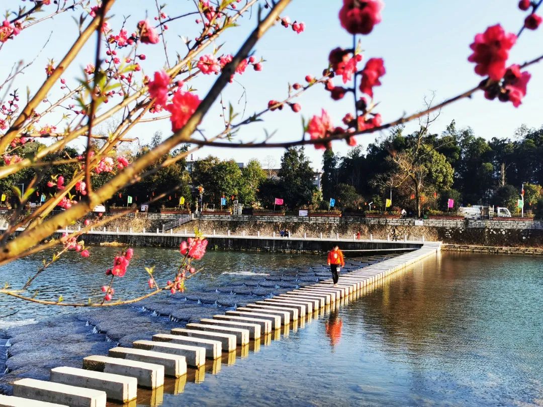 打卡好西乡！桃花胜*光春**，佳人已成双