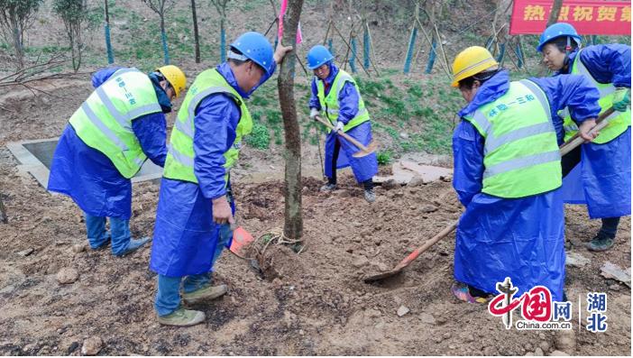 不负春光携手添新绿,不负春光植树造林