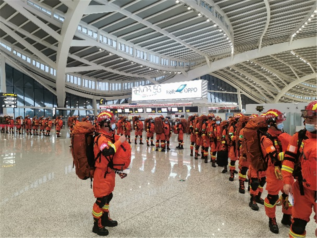 妗傛灄鑸┖鎵胯繍,妗傛灄鑸┖鍏徃鍏嶈垂鎵樿繍