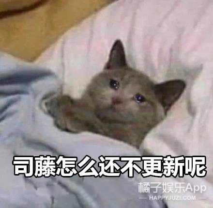 张彬彬演司藤涨粉多少,张彬彬粉丝说司藤是靠男主火的