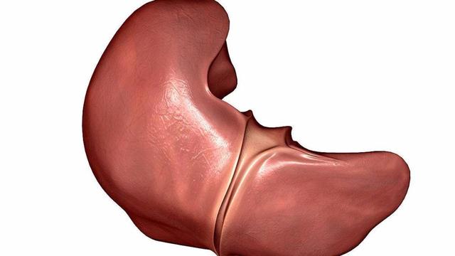 早上醒来嘴里发苦应该做哪些检查,嘴里发苦是肝脏出现问题了吧