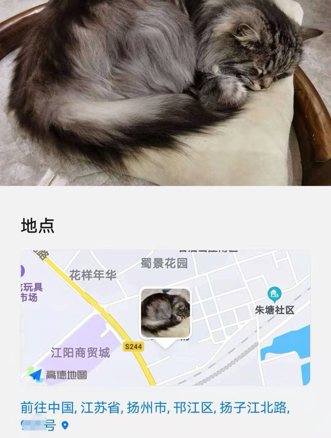 传照片与人共享会泄露信息吗,担心照片泄露怎么查