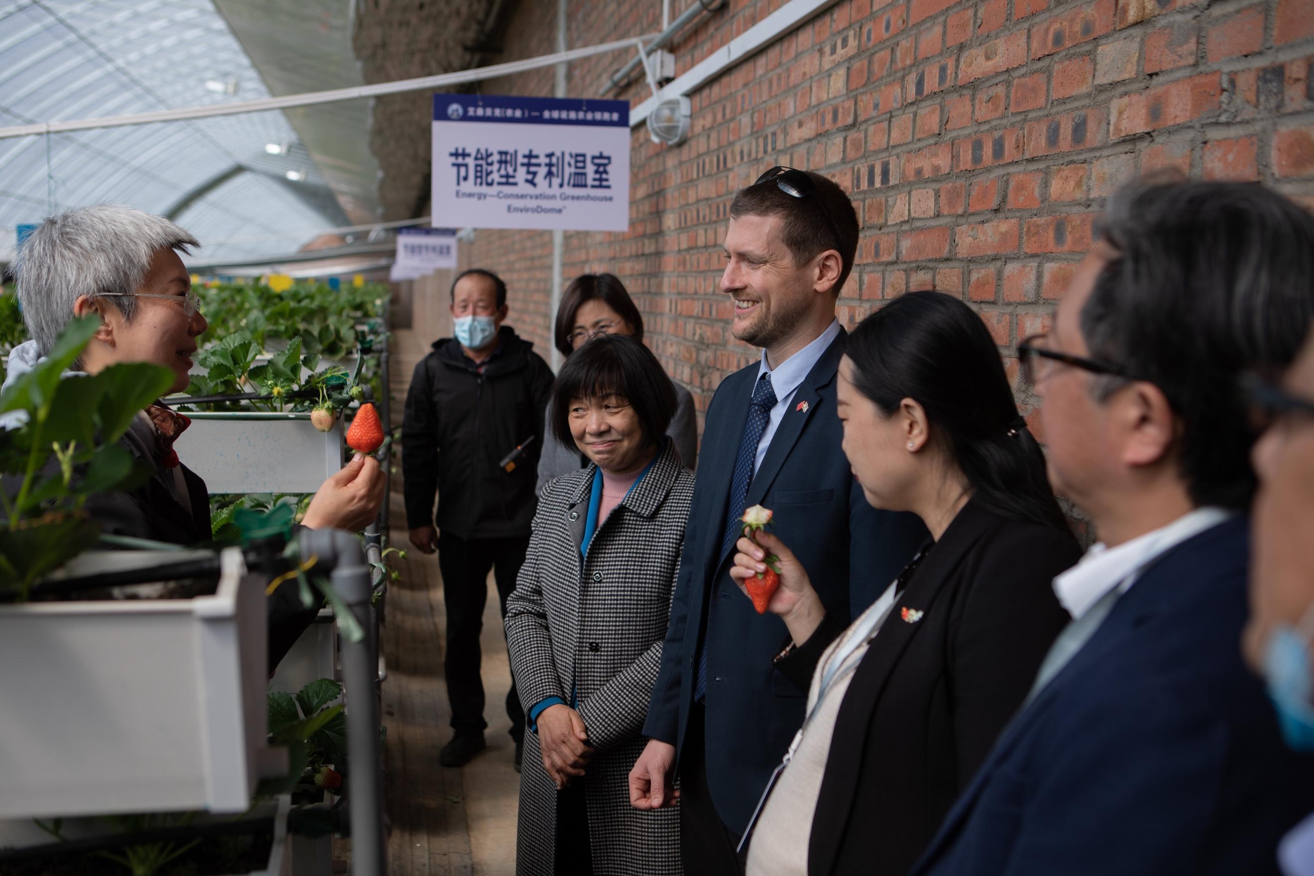 以色列农业的先进技术视频,以色列现代农业