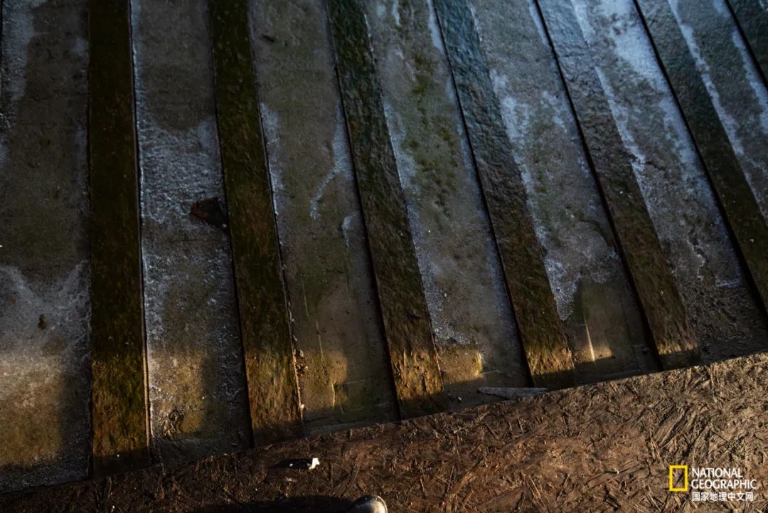 被废弃的私人豪宅,私闯豪宅后续