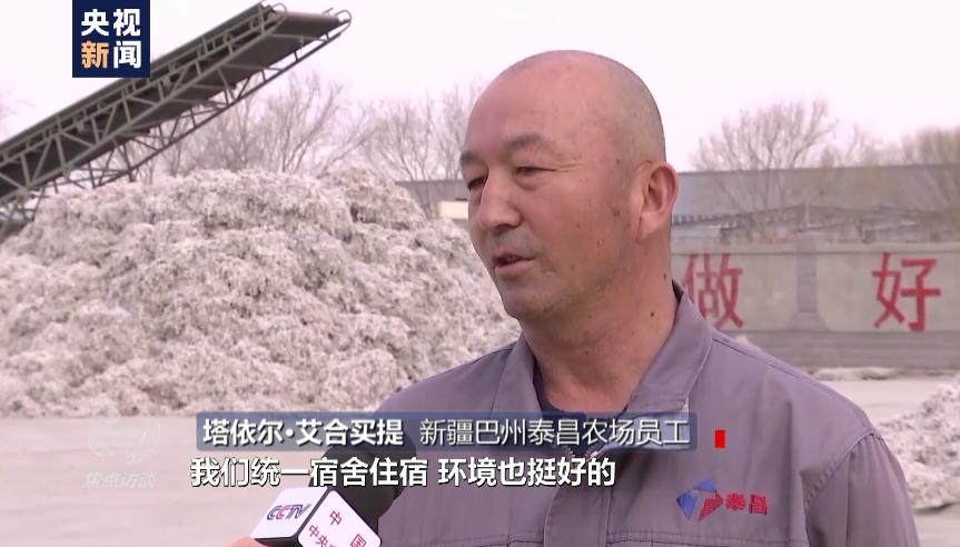 白棉花有假的吗,黑心棉被调查视频