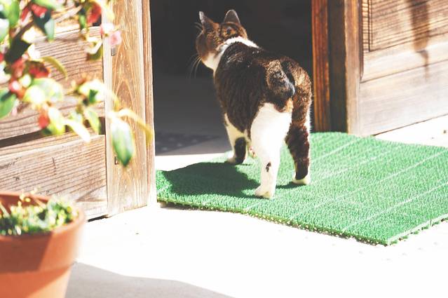 日本山口县十大旅游景点,日本山口风景区有哪些景点