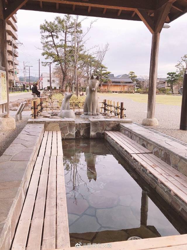 日本山口县十大旅游景点,日本山口风景区有哪些景点