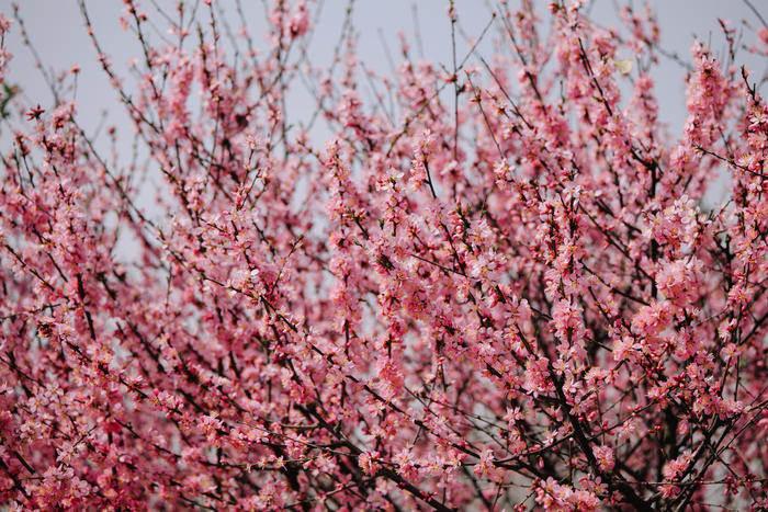 松下s5镜头70-300测评,松下lumixs70-300mm