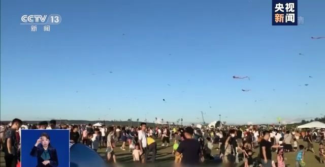 放风筝逼停列车,风筝逼停高铁