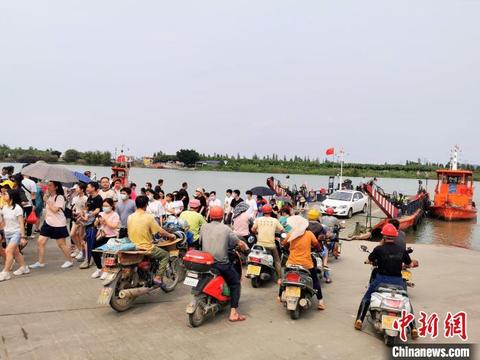 江门正宗黄沙蚬,广东黄沙蚬最肥美的季节