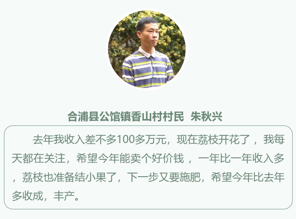 合浦：荔枝花开满山坡蜜蜂*花采**酿蜜忙