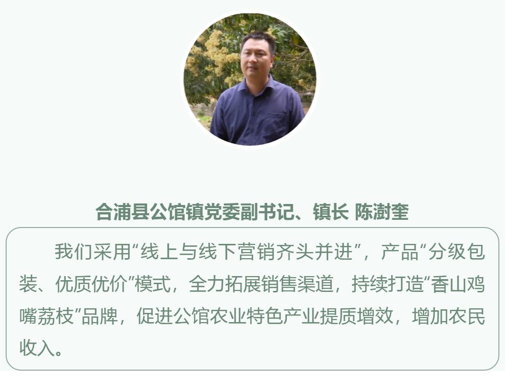 合浦：荔枝花开满山坡蜜蜂*花采**酿蜜忙