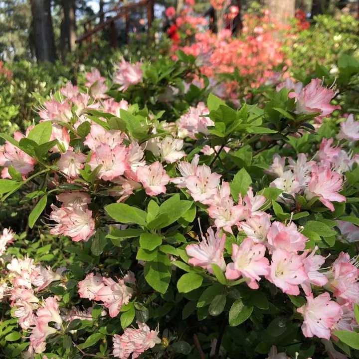 杭州绿道路线图,杭州青山湖绿道