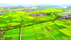 振兴乡村的领头创业者,扶贫致富的领头人