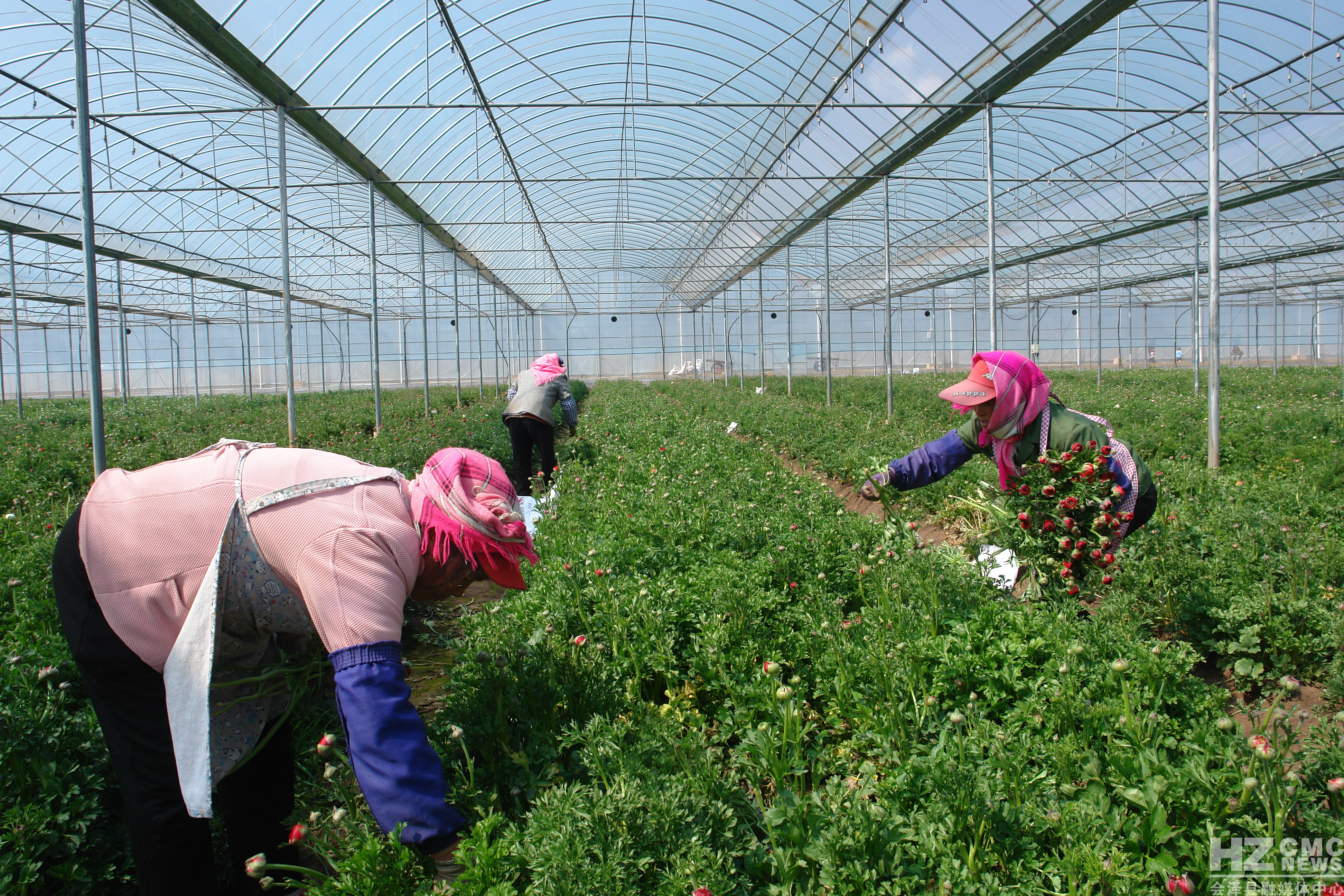 沐石河街道多措并举助力乡村振兴,昭仁街道多举措促乡村全面振兴