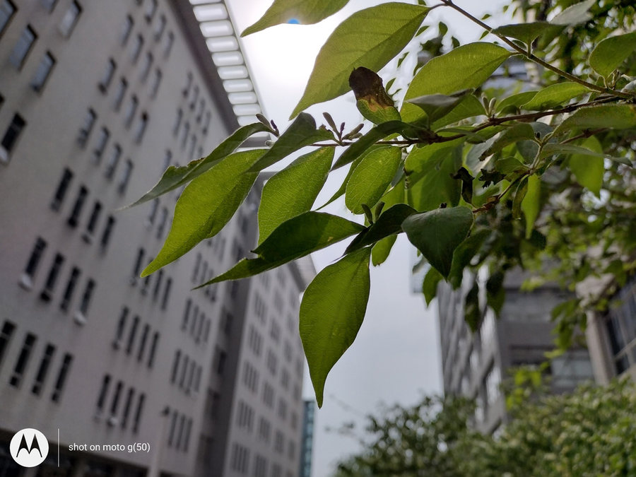 motorolag54值得入手吗,motorolag50价格