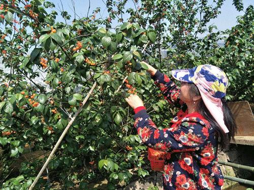 义乌美食及景点,义乌一日游必打卡美食