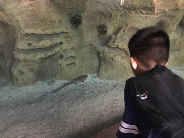 五一打卡珠海，雨神与我们同在