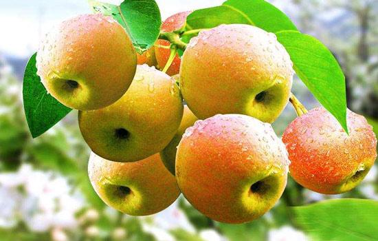 提气!鞍山品牌总体评估价值和提升幅度均全省领先