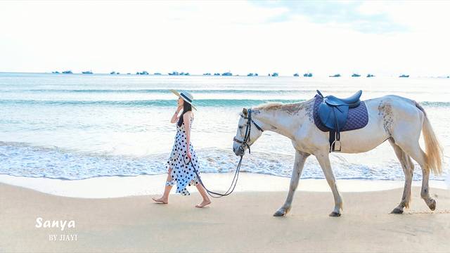 6首治愈歌曲,6首治愈背景音乐