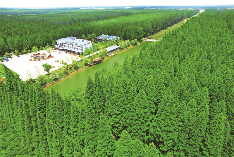 盐城马拉松出行路线,盐城马拉松对盐城市有好处吗