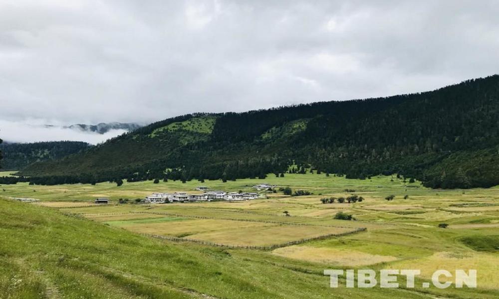 藏南地区生态状况,藏北高原自然特点