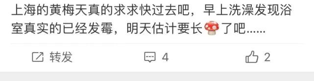 车发霉进icu,车子室内发霉