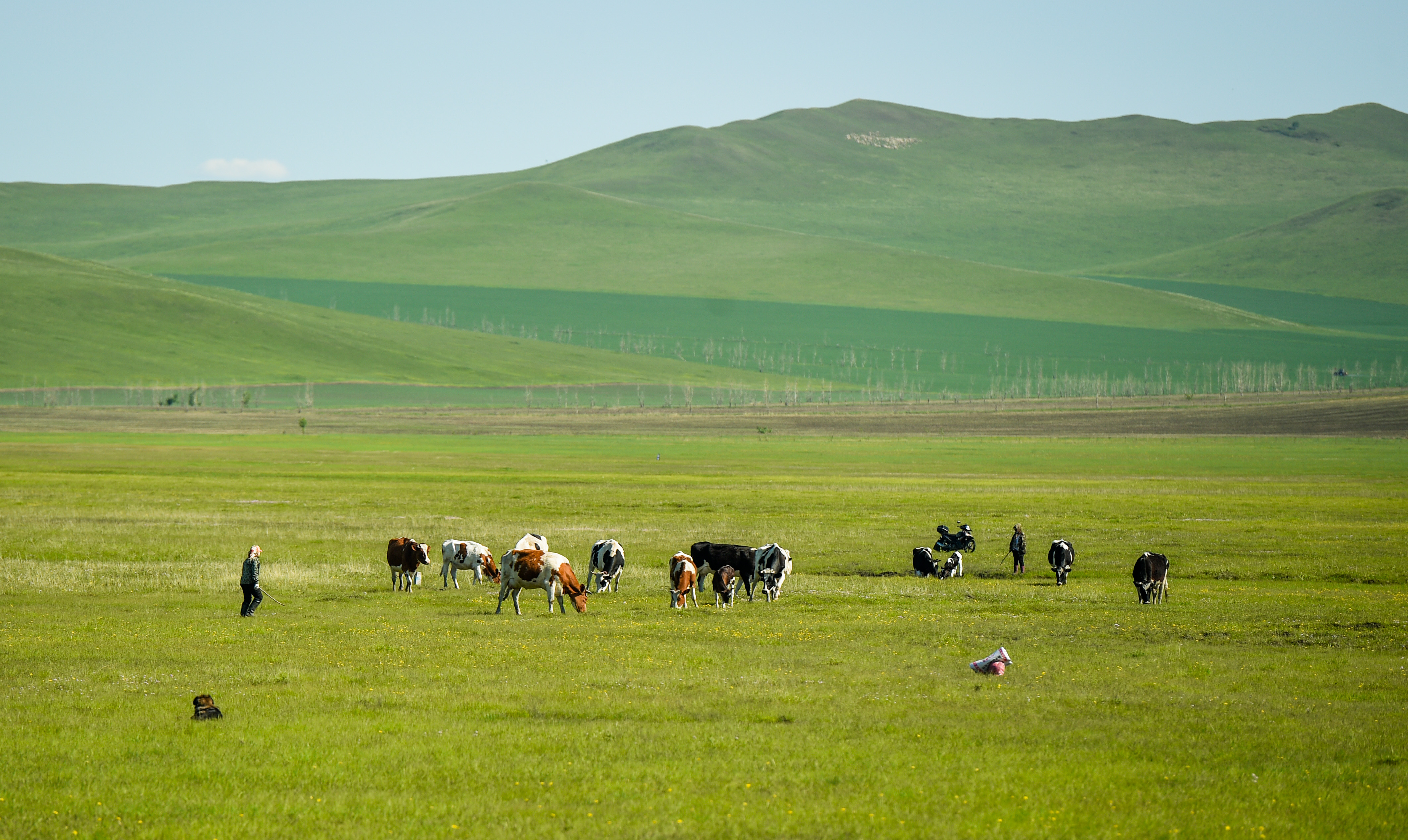 呼伦贝尔大草原服装视频,草原呼伦贝尔穿搭