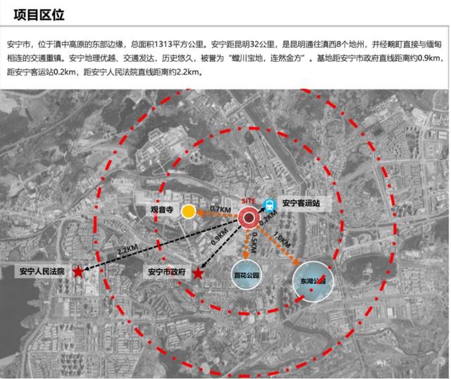 长满绿植的楼房,爬满绿植的建筑
