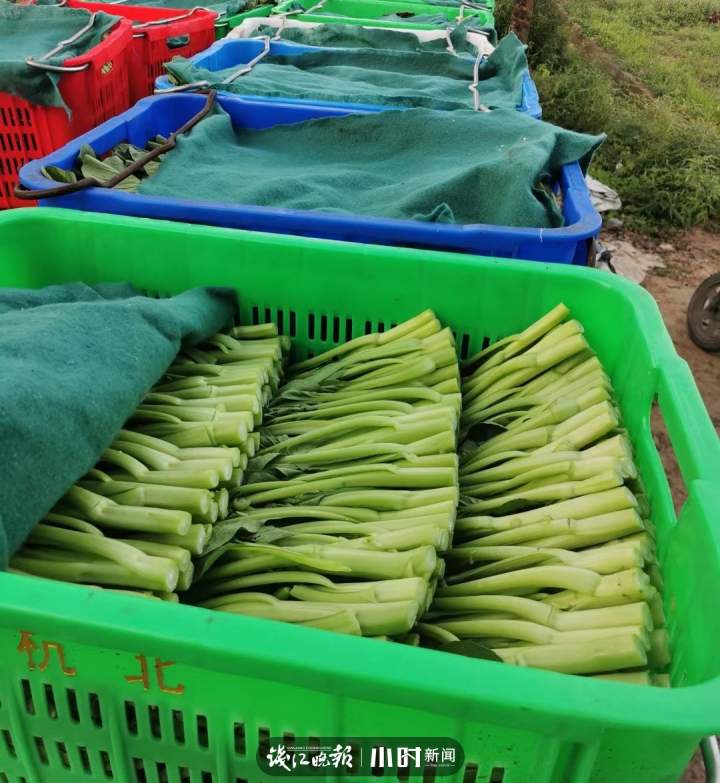 从30年前艮山门摆摊的生姜哥到如今营收好几个亿,杭州“菜王”卢克刚的奋斗史