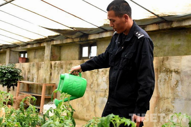乐于助人警察,乐于助人的暖心民警
