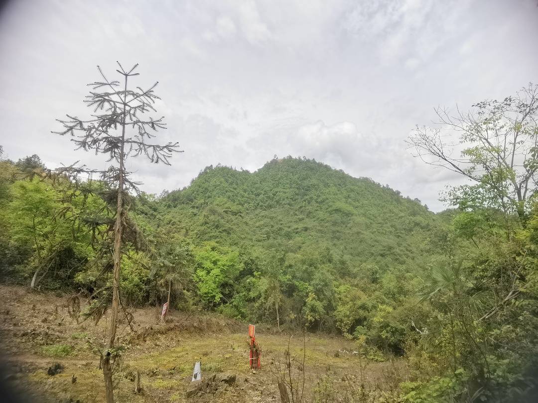 “奋斗百年路，启航新征程”看宣汉④：88年前宣汉的这场战役1000多名烈士仅两人留下了名字