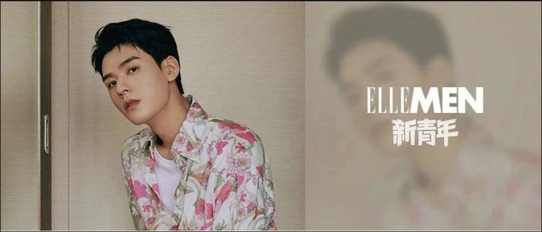 整容失败的男星们,娱乐圈整容艺人