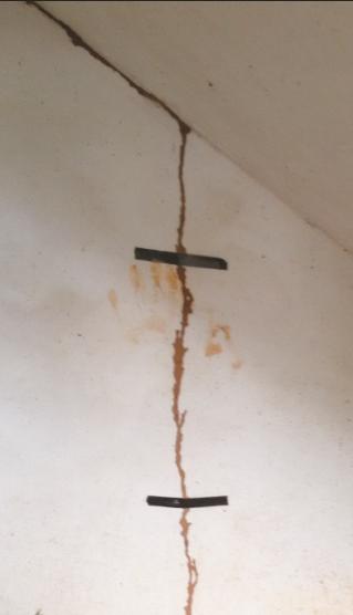 白蚁防治所是用什么方法杀白蚁的,白蚁遭遇战这套防蚁攻略请收好