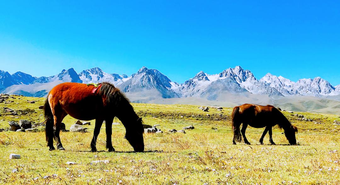 川藏旅行带你看甘孜 (甘孜一网打尽川藏最精华的旅行地)