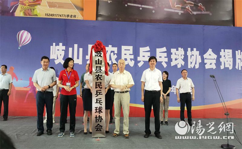 县乒乓球协会组织架构,宝鸡市乒乓球协会具体地址