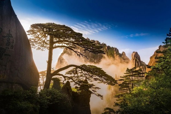 黄山一日游网红小火车最佳攻略,黄山附近坐高铁的旅游景点推荐