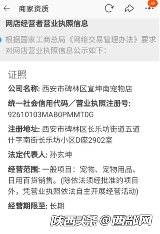 网上宠物狗销售陷阱,网上卖宠物狗骗局