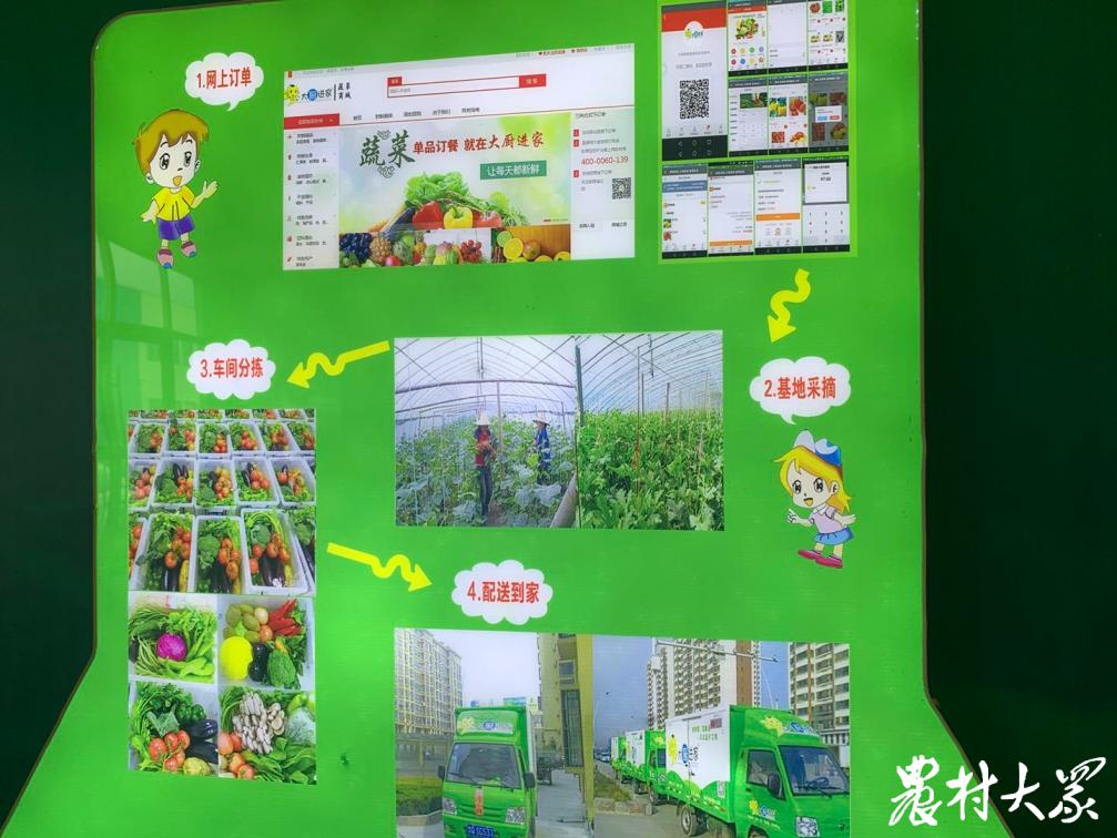 全国蔬菜配送基地直供,采购中心供应蔬菜的采购渠道