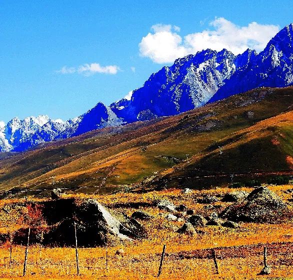 甘孜哪些地方是高原,甘孜真正好玩的地方