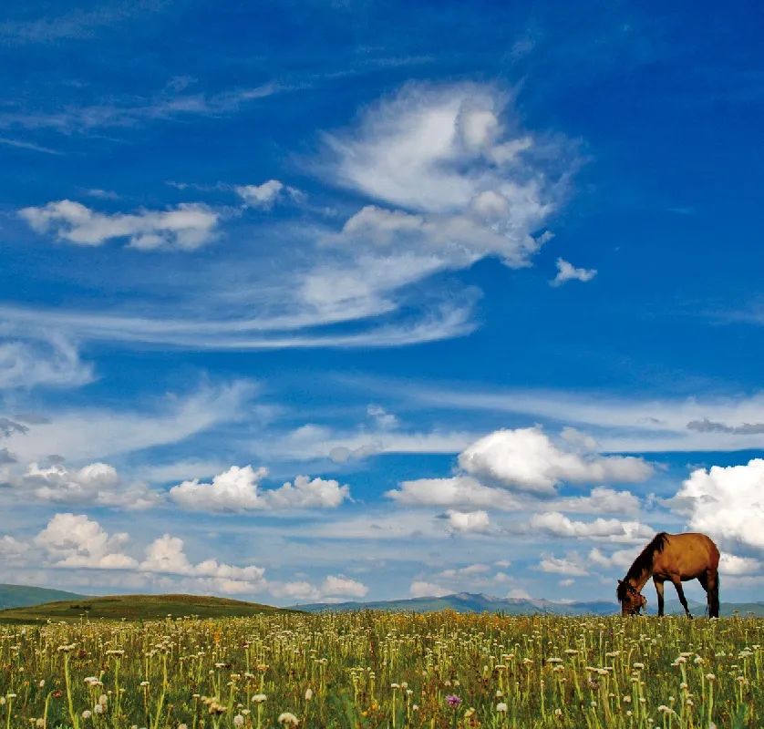 甘孜哪些地方是高原,甘孜真正好玩的地方