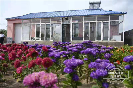 美丽乡村建设与民宿发展感悟,美丽乡村建设与民宿