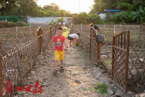 广州海珠区农田园,广州大都市农业园