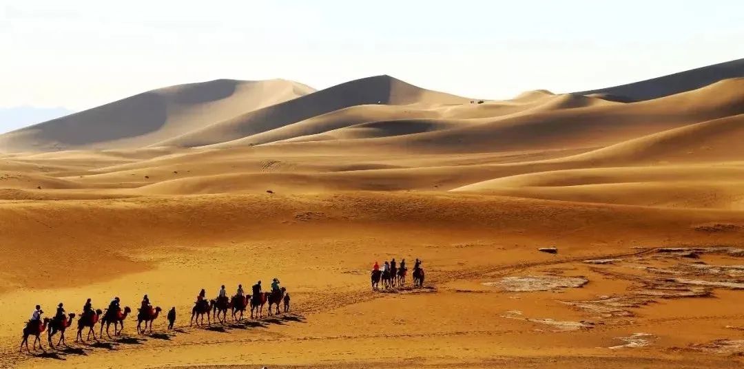 徐兆寿中国文化,徐兆寿作品西行悟道