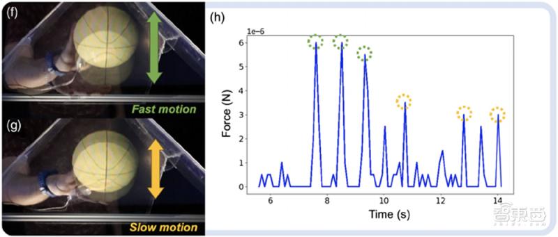科学家创造在空中移动的真实图像,创意科学实验3d全息投影