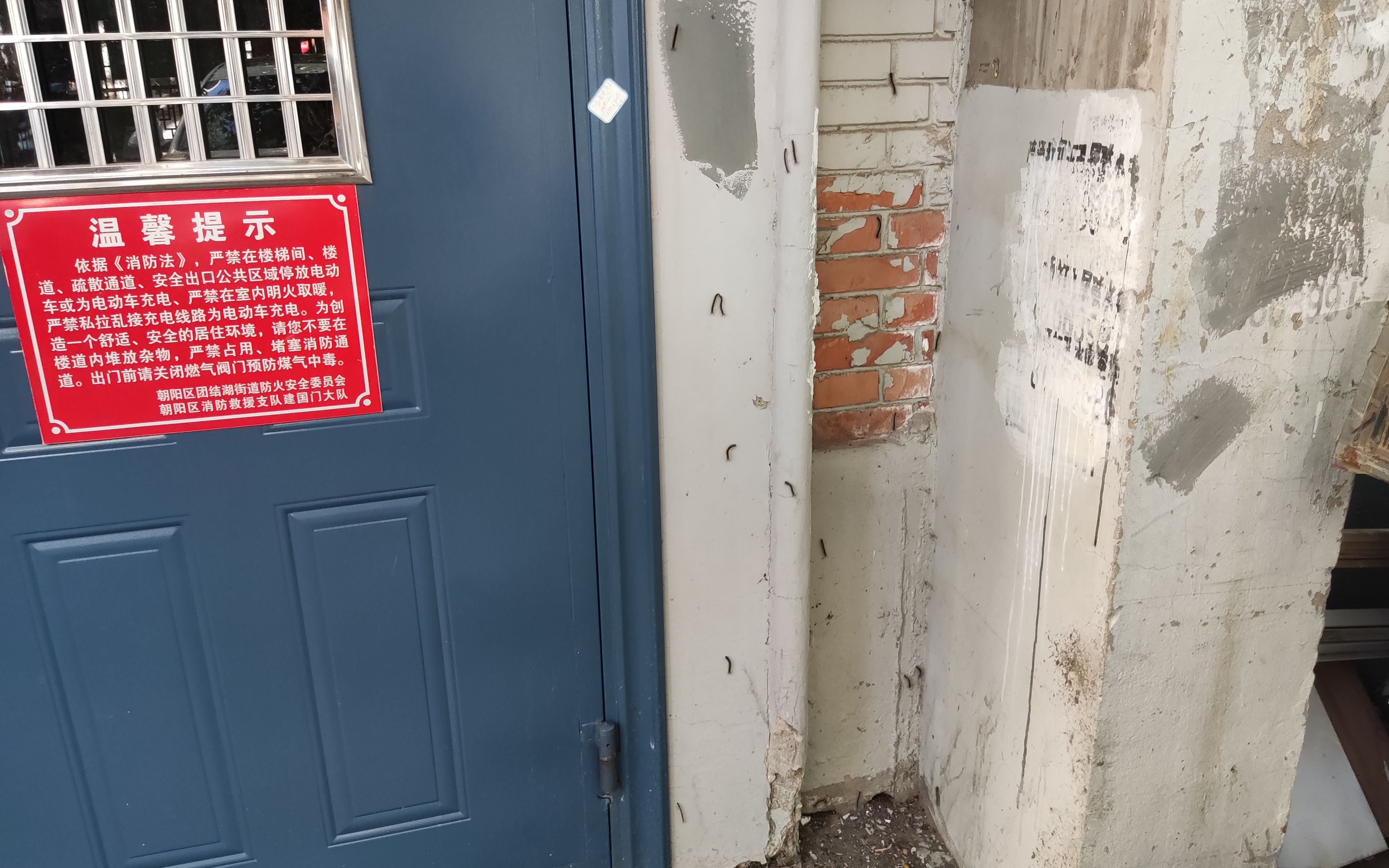 北京多地现毛毛虫，园林部门成立防控专班